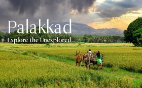 Palakkad